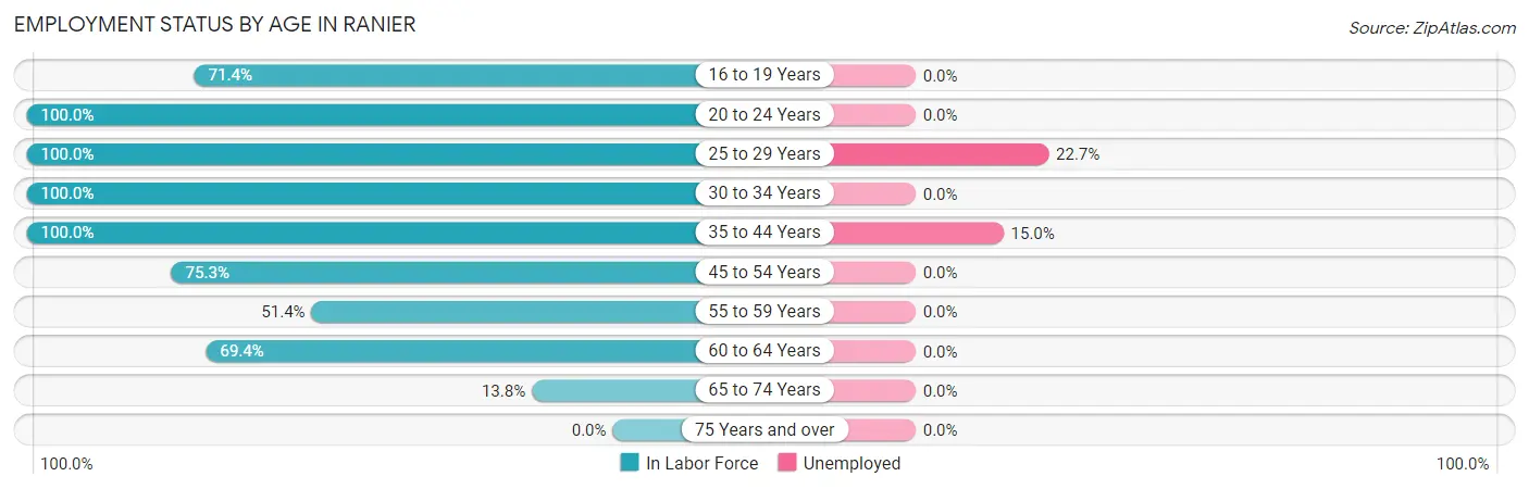 Employment Status by Age in Ranier