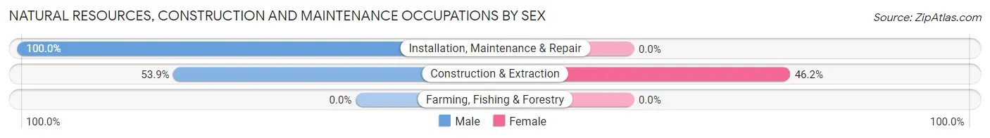 Natural Resources, Construction and Maintenance Occupations by Sex in Ranier