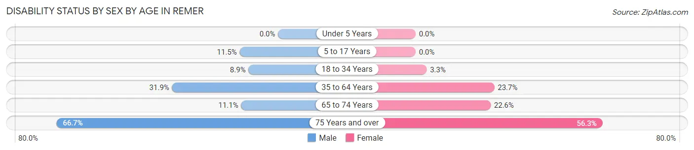 Disability Status by Sex by Age in Remer