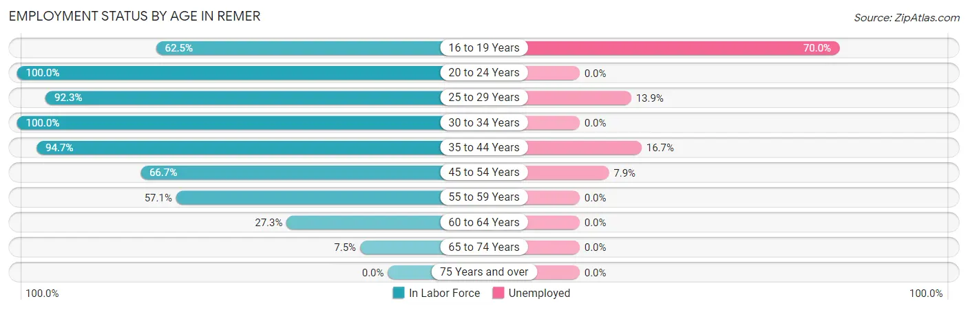 Employment Status by Age in Remer