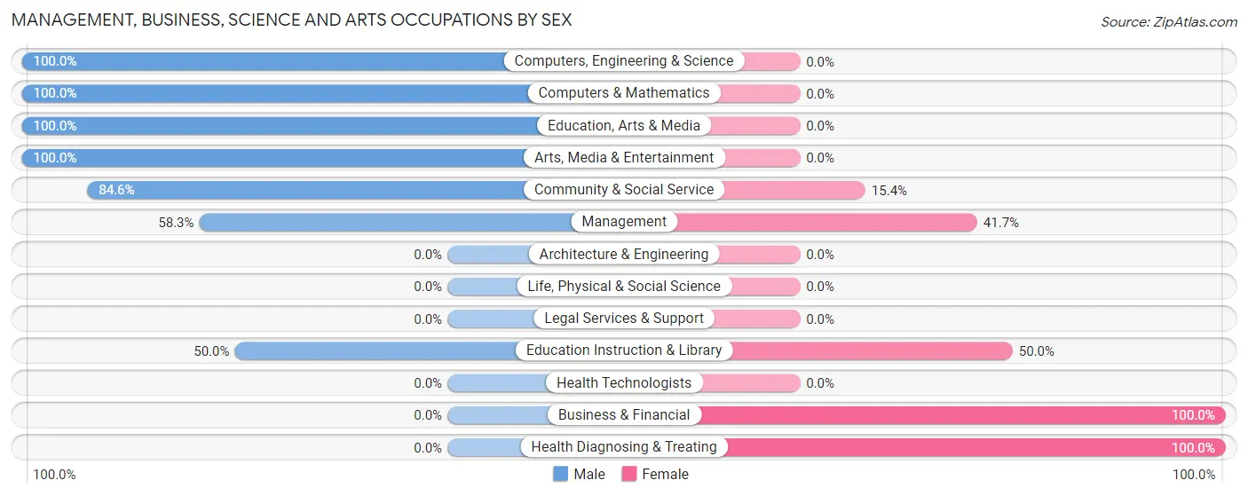 Management, Business, Science and Arts Occupations by Sex in Remer