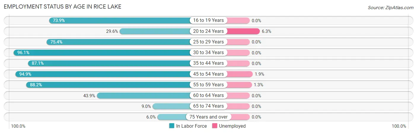 Employment Status by Age in Rice Lake