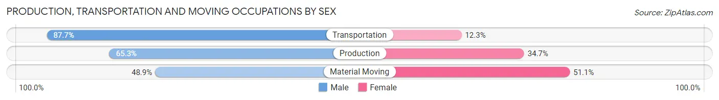 Production, Transportation and Moving Occupations by Sex in Rice Lake
