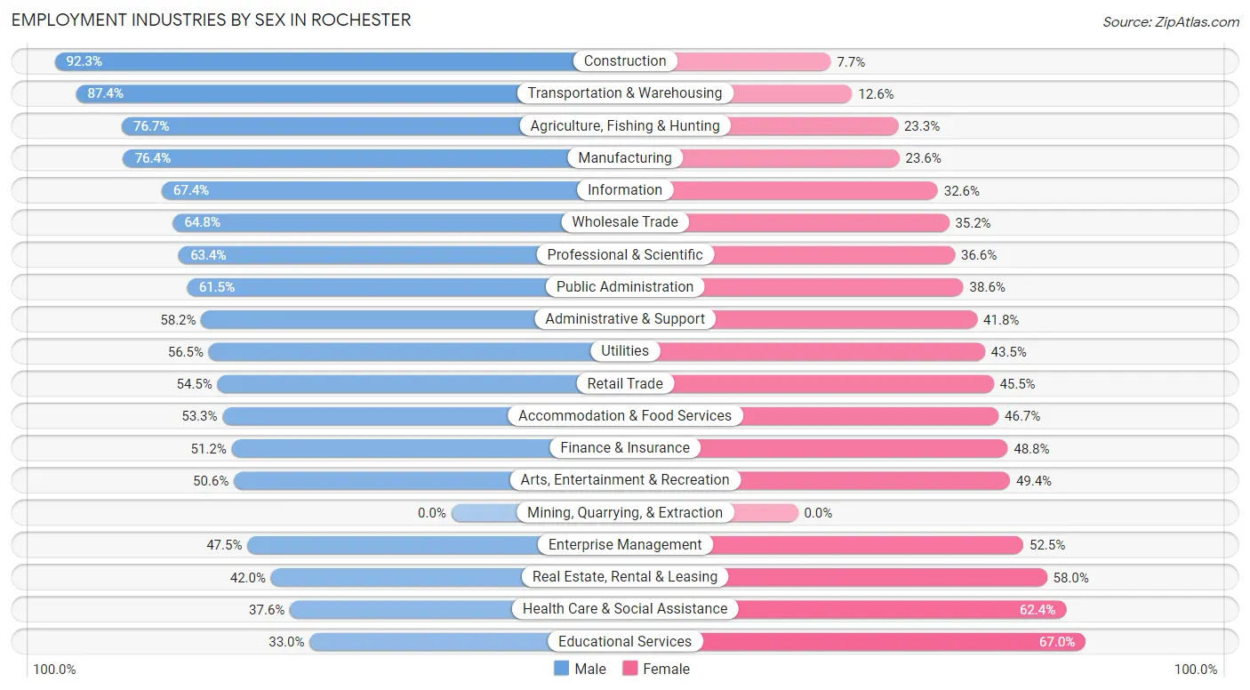 Employment Industries by Sex in Rochester