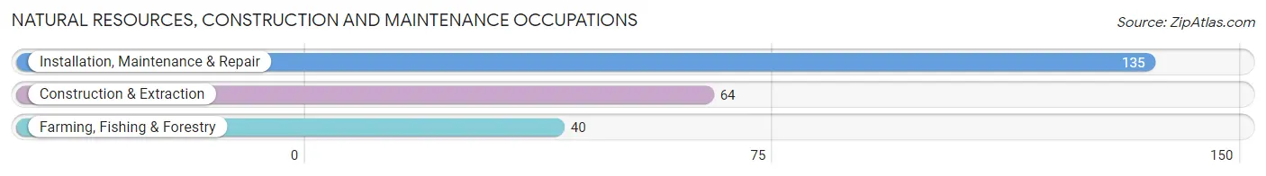 Natural Resources, Construction and Maintenance Occupations in Rockford