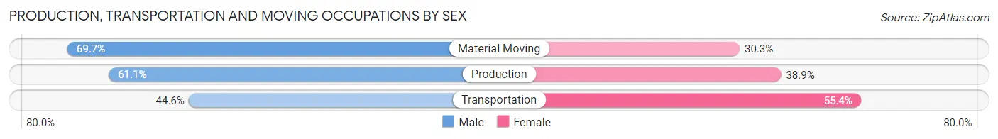 Production, Transportation and Moving Occupations by Sex in Rockford