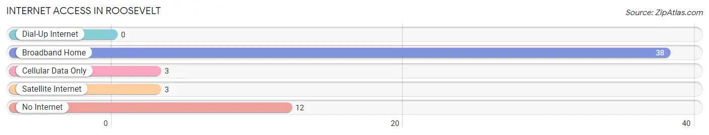 Internet Access in Roosevelt