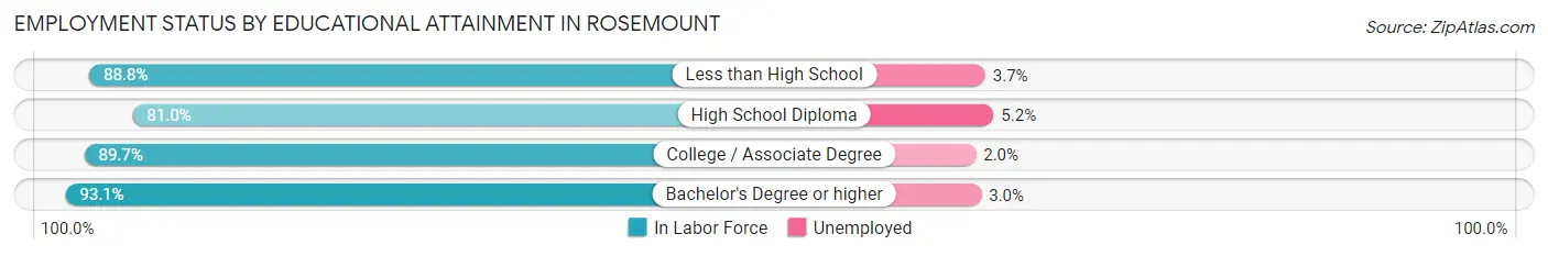 Employment Status by Educational Attainment in Rosemount