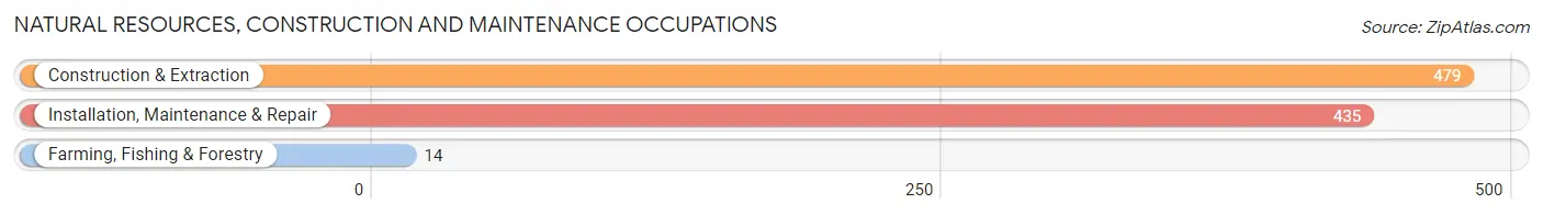 Natural Resources, Construction and Maintenance Occupations in Roseville