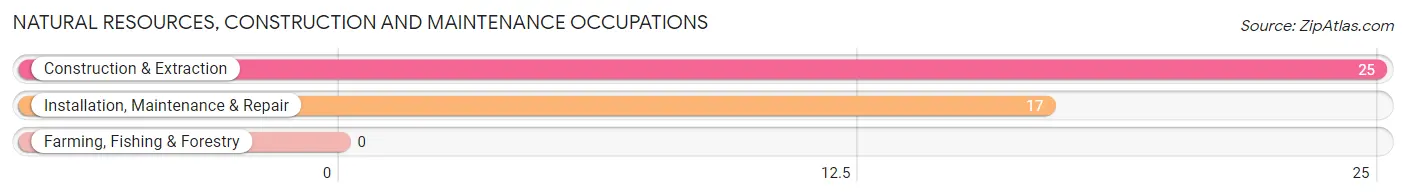 Natural Resources, Construction and Maintenance Occupations in Rothsay