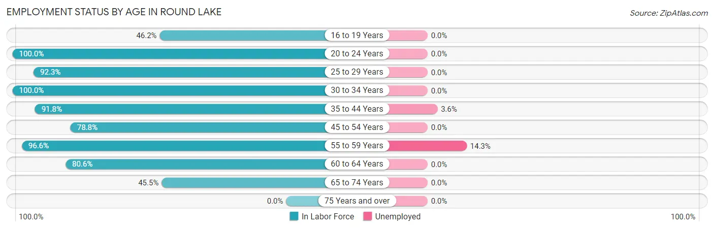 Employment Status by Age in Round Lake