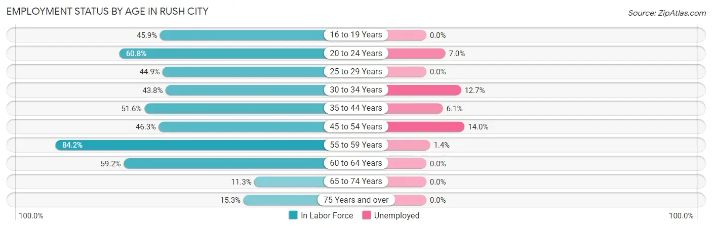 Employment Status by Age in Rush City