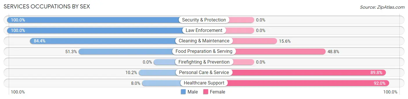 Services Occupations by Sex in Rush City