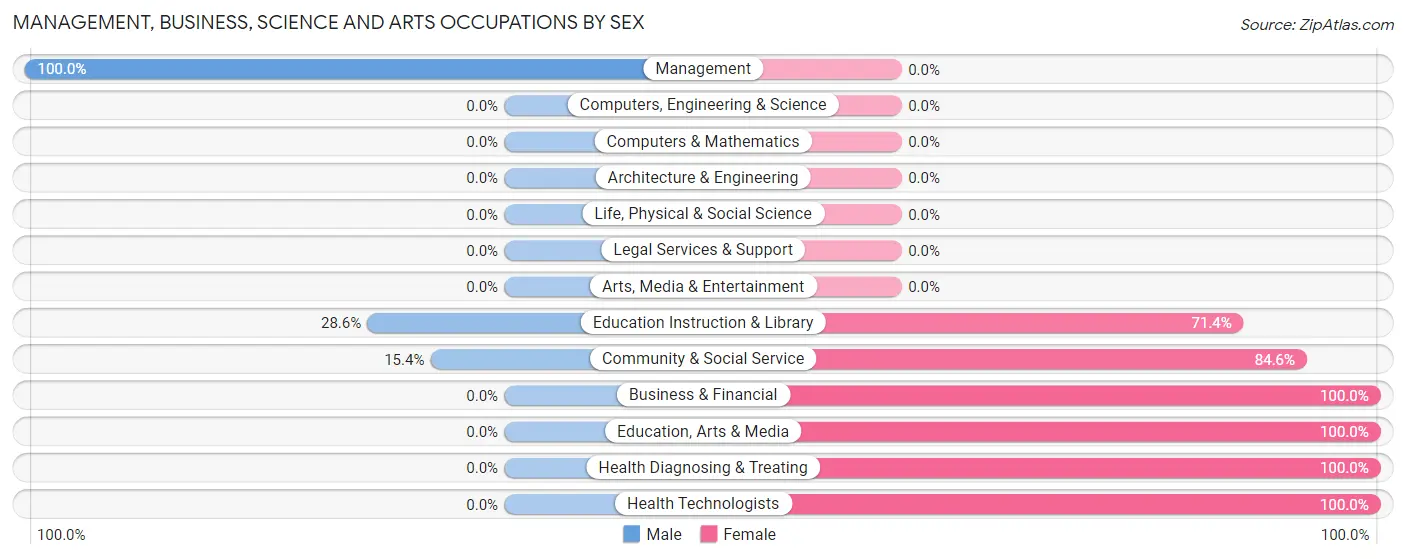 Management, Business, Science and Arts Occupations by Sex in Ruthton