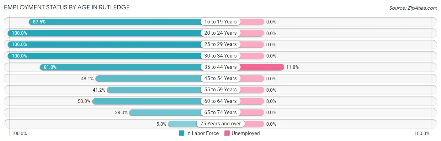 Employment Status by Age in Rutledge