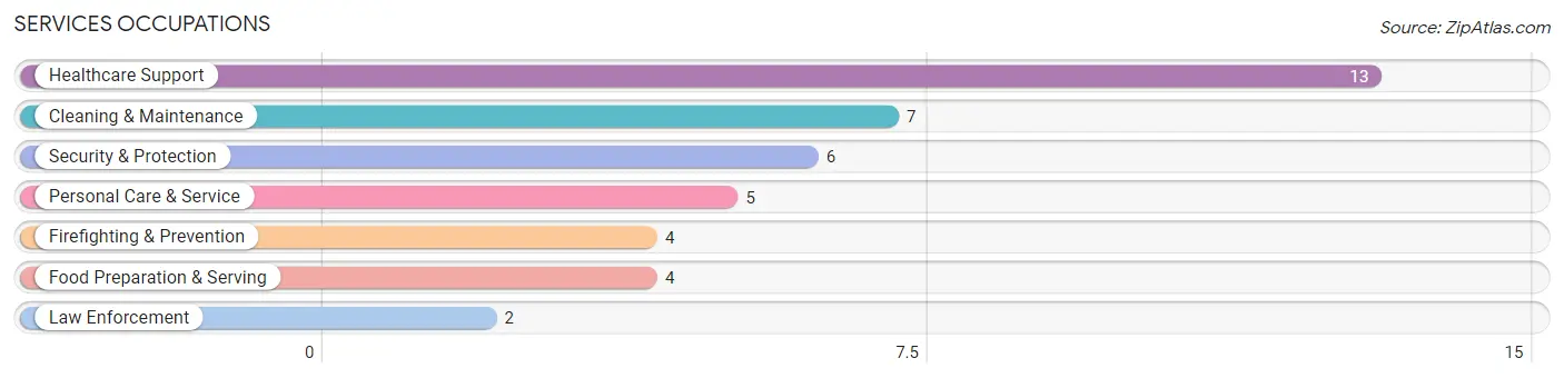 Services Occupations in Sabin