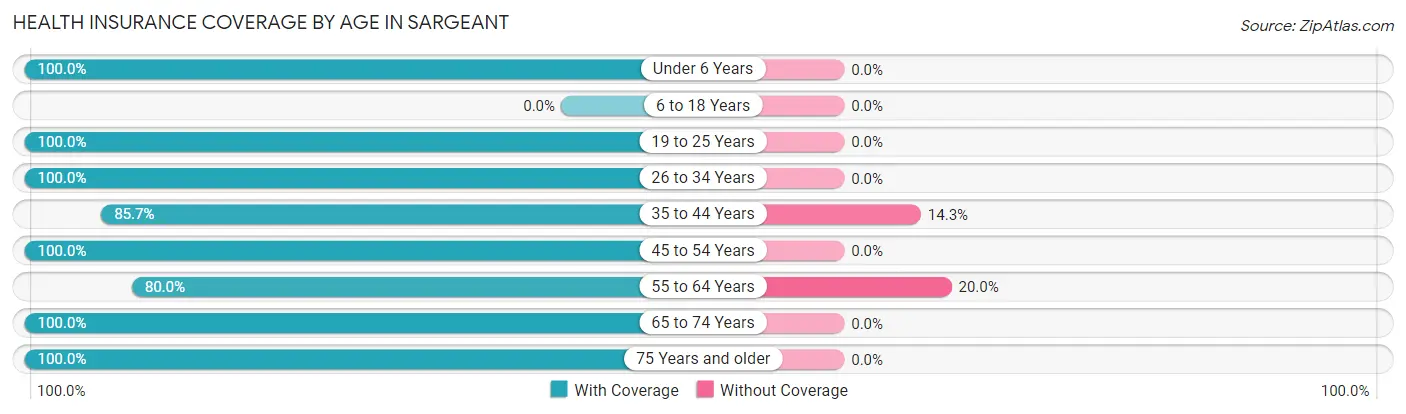 Health Insurance Coverage by Age in Sargeant