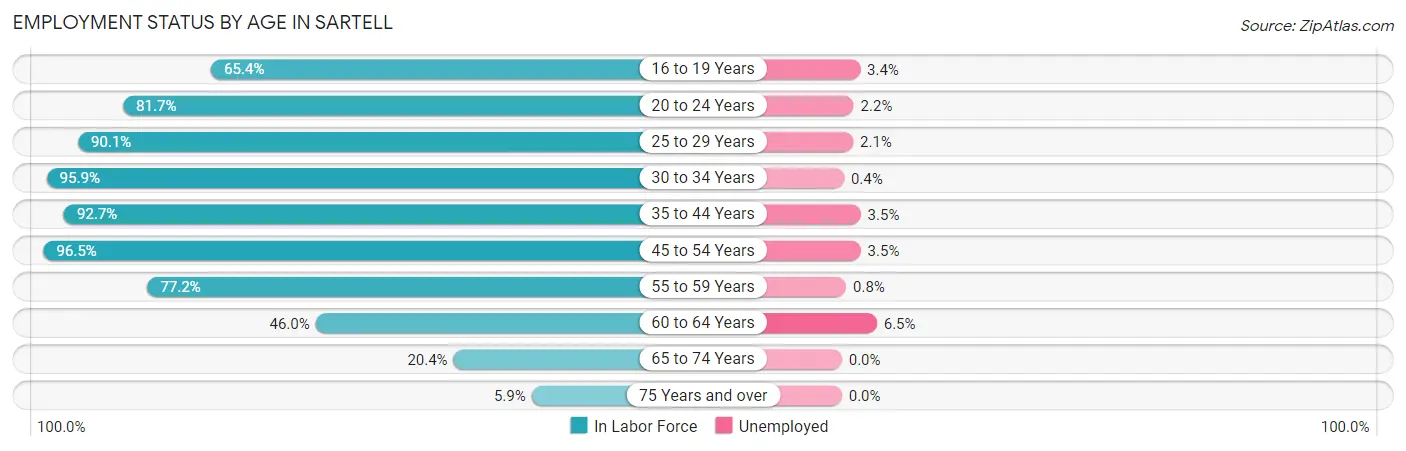 Employment Status by Age in Sartell