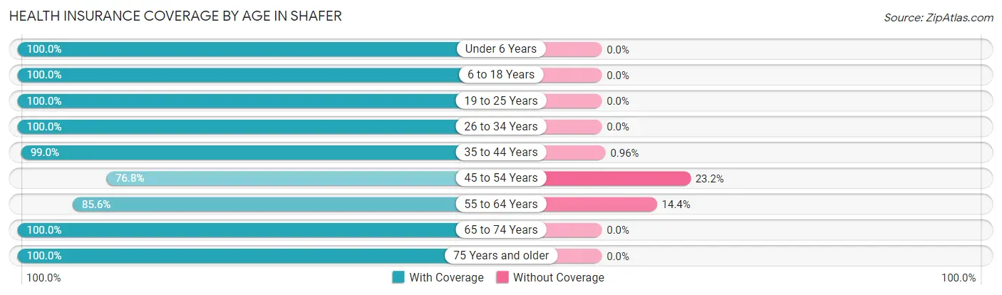 Health Insurance Coverage by Age in Shafer