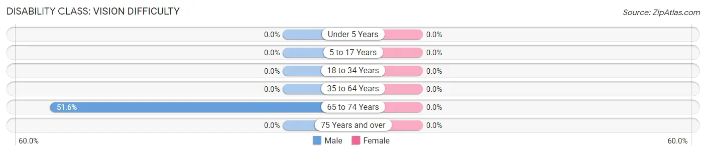 Disability in Shafer: <span>Vision Difficulty</span>