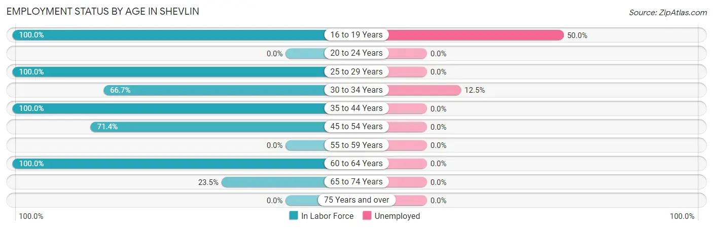 Employment Status by Age in Shevlin