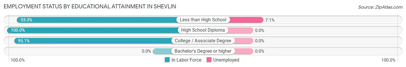 Employment Status by Educational Attainment in Shevlin