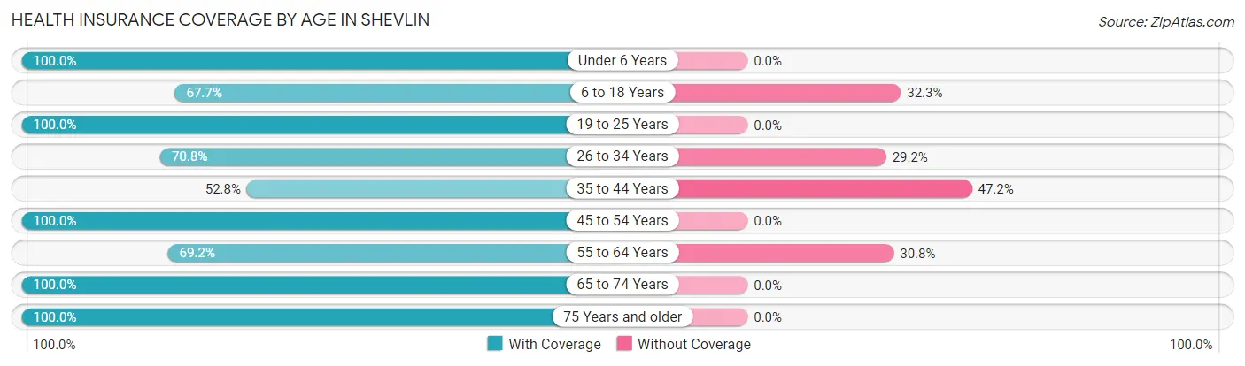 Health Insurance Coverage by Age in Shevlin