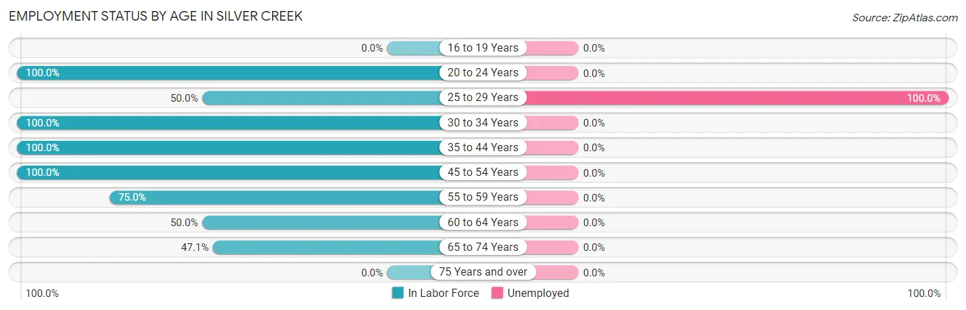 Employment Status by Age in Silver Creek