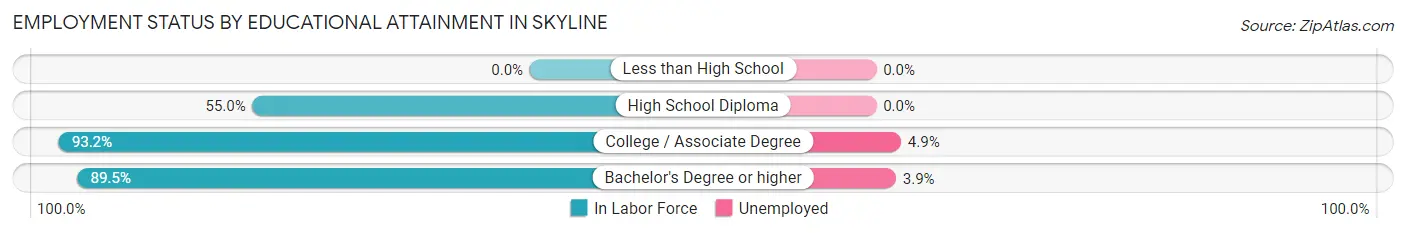 Employment Status by Educational Attainment in Skyline