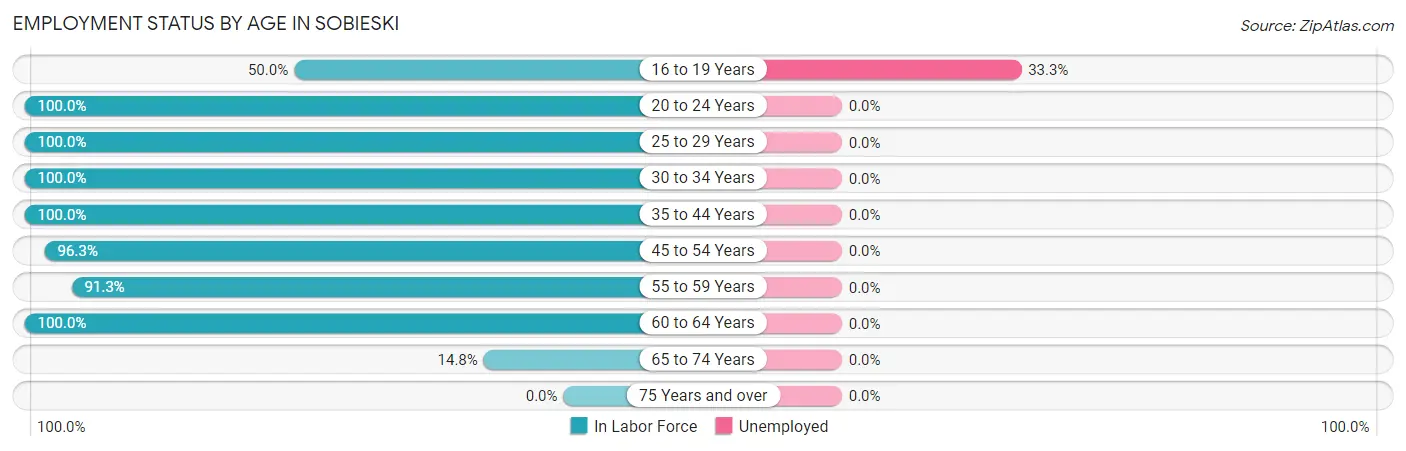 Employment Status by Age in Sobieski