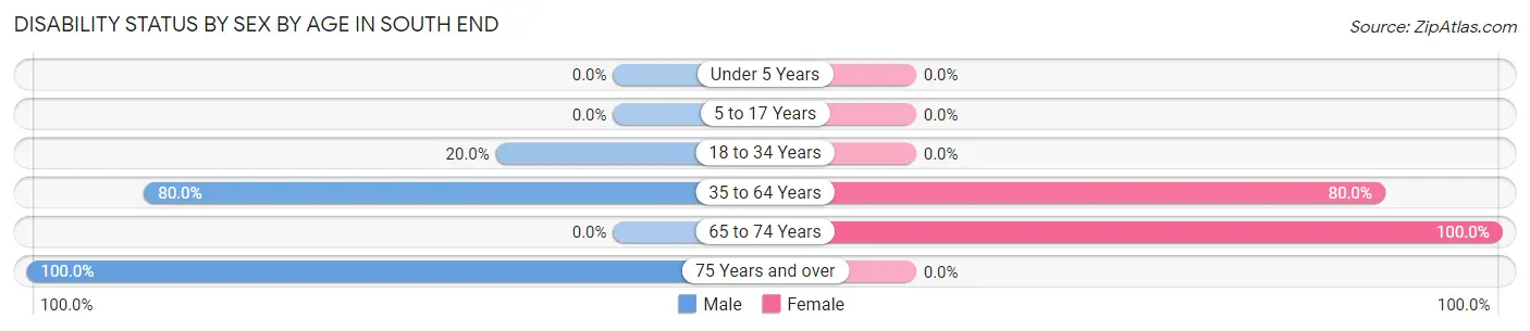 Disability Status by Sex by Age in South End