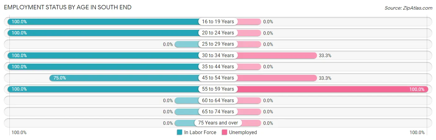 Employment Status by Age in South End
