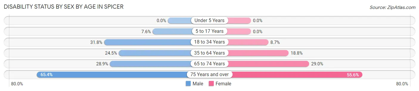 Disability Status by Sex by Age in Spicer