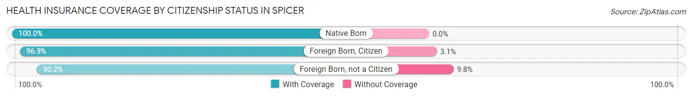 Health Insurance Coverage by Citizenship Status in Spicer