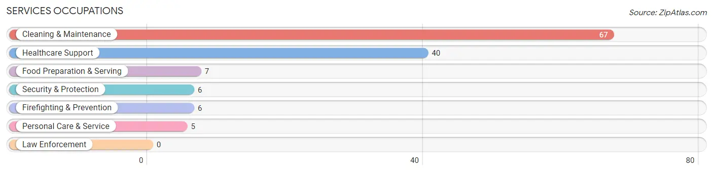 Services Occupations in Spring Grove