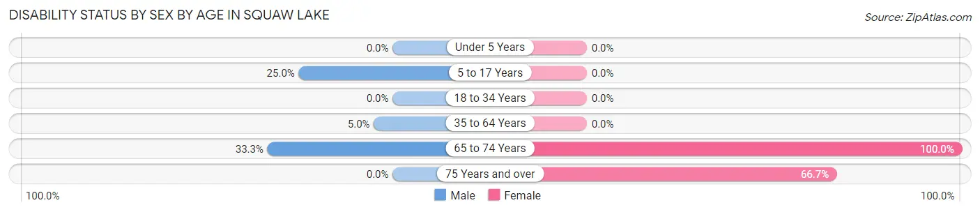 Disability Status by Sex by Age in Squaw Lake