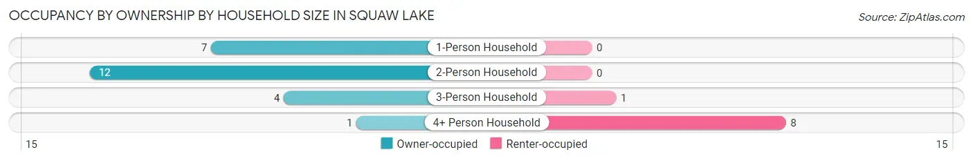 Occupancy by Ownership by Household Size in Squaw Lake
