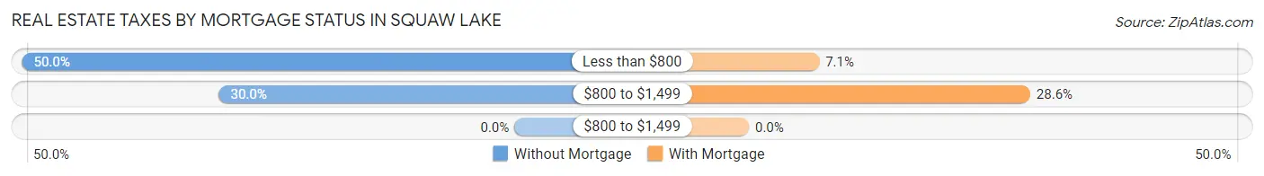 Real Estate Taxes by Mortgage Status in Squaw Lake