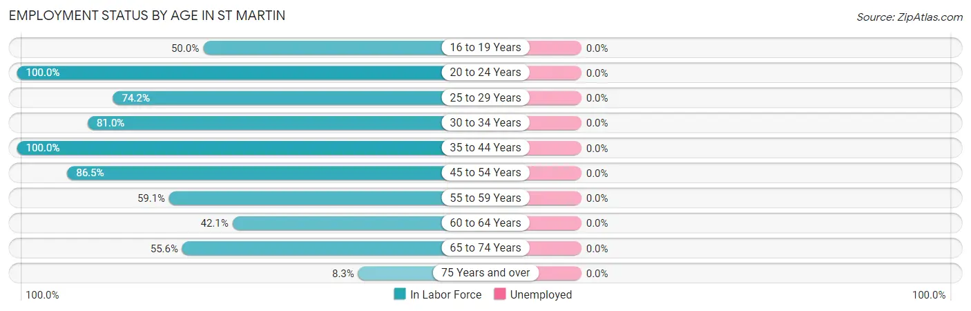 Employment Status by Age in St Martin