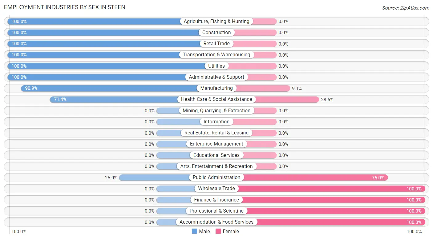 Employment Industries by Sex in Steen