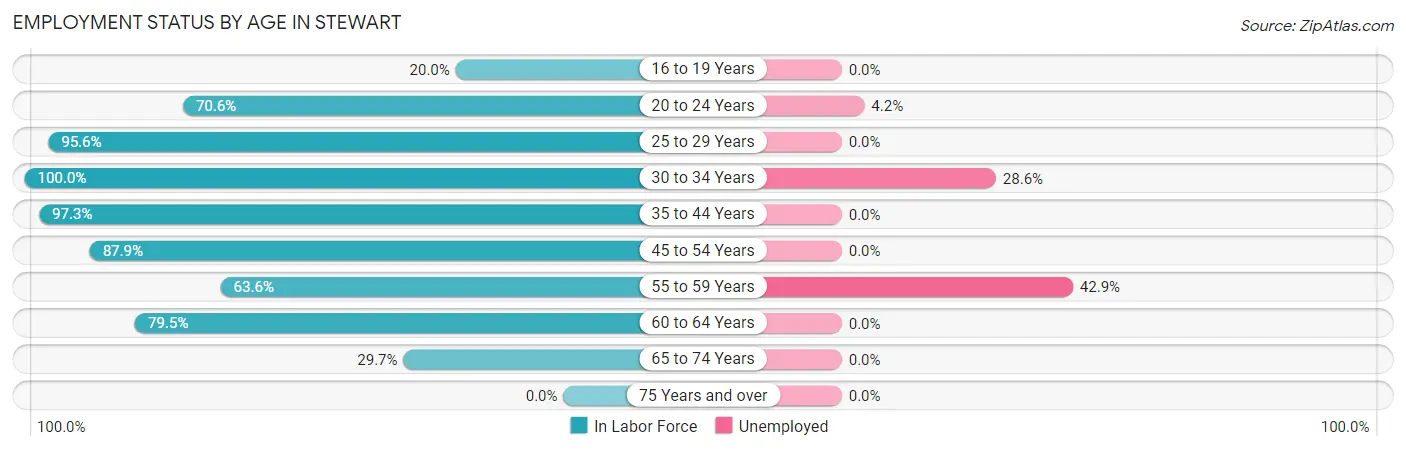 Employment Status by Age in Stewart