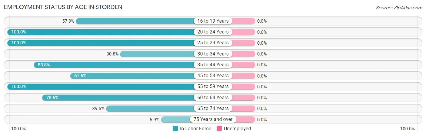 Employment Status by Age in Storden