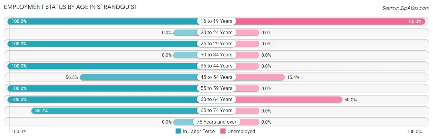 Employment Status by Age in Strandquist