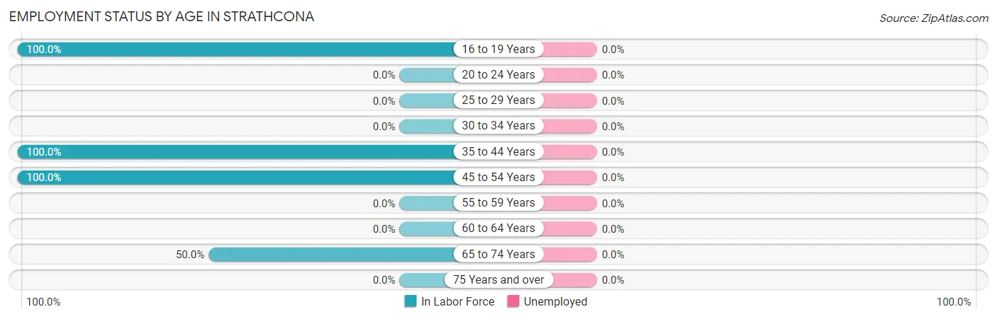 Employment Status by Age in Strathcona