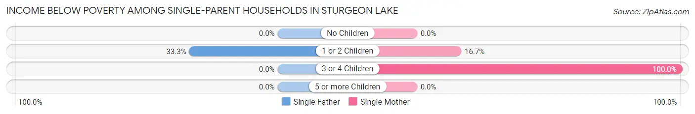 Income Below Poverty Among Single-Parent Households in Sturgeon Lake
