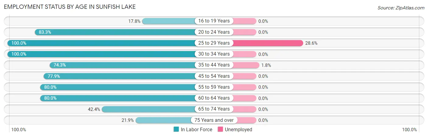 Employment Status by Age in Sunfish Lake