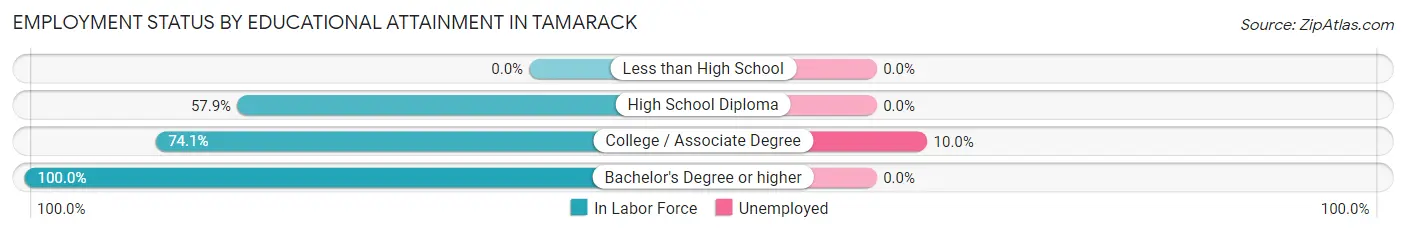 Employment Status by Educational Attainment in Tamarack