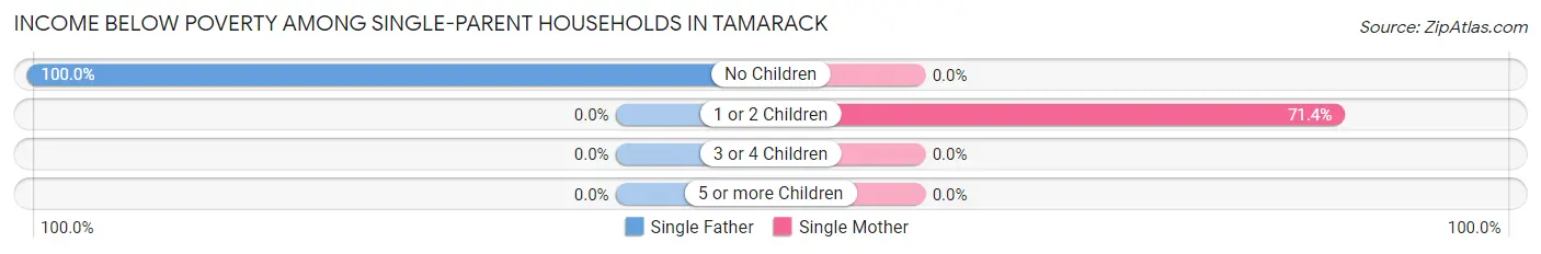 Income Below Poverty Among Single-Parent Households in Tamarack