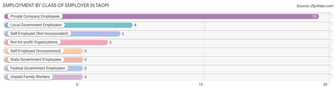 Employment by Class of Employer in Taopi