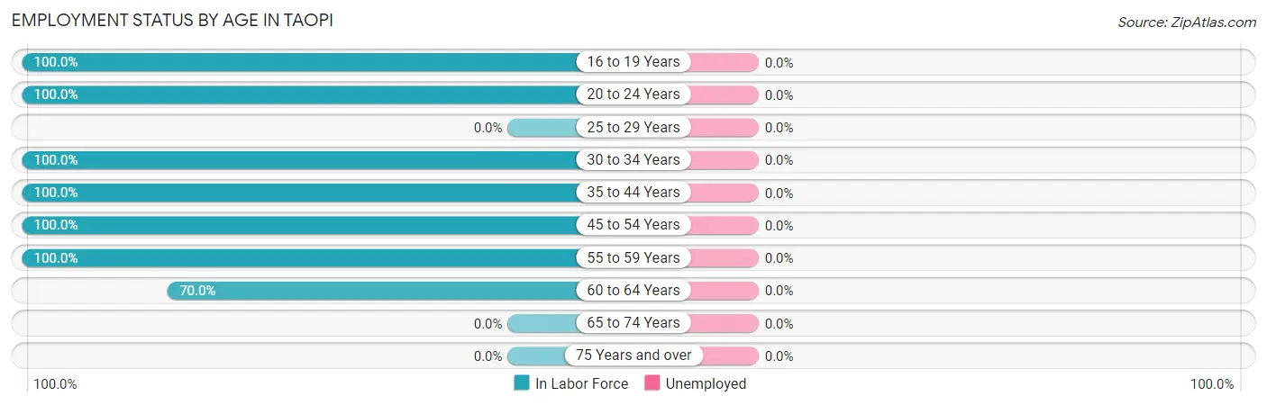 Employment Status by Age in Taopi